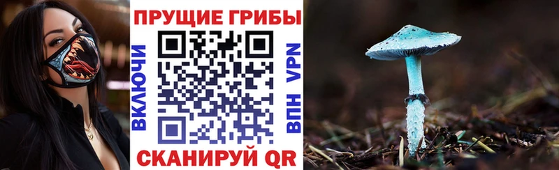blacksprut зеркало  цены наркотик  Лесосибирск  Галлюциногенные грибы MAGIC MUSHROOMS 